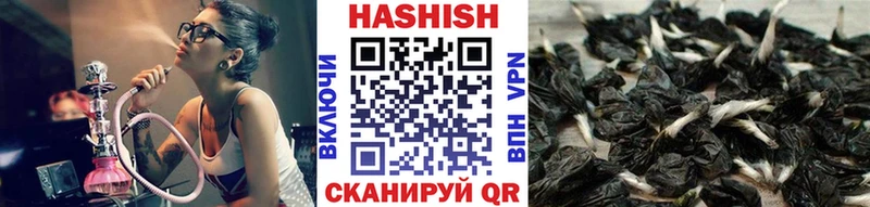ГАШ ice o lator  Купить закладки  Истра 