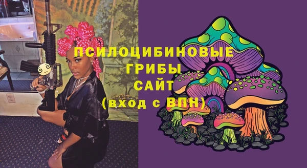 apvp Касимов