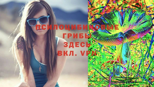 меф Каменск-Шахтинский