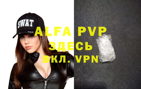 винт Инта