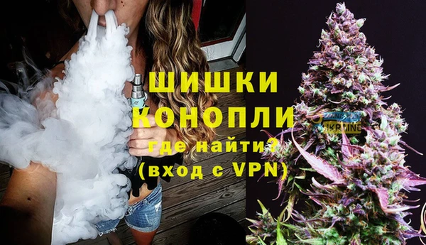 ГАЛЛЮЦИНОГЕННЫЕ ГРИБЫ Костерёво