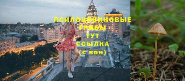 меф Каменск-Шахтинский